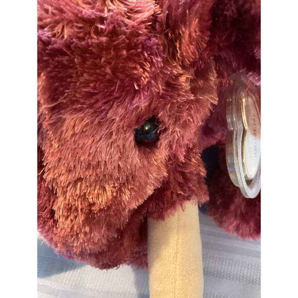 Ty Beanie Buddy Colosso the Wooly Mammoth Elephant Collectible Plush 2003 - Picture 10 of 10